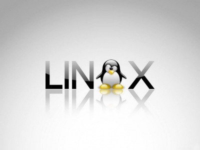 Tux linux wallpapers free desktop with the penguin wallpaper-800x600